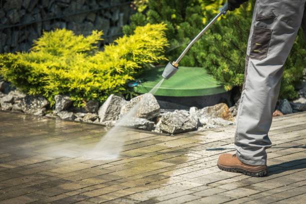 Best Winterizing Services  in Bellevue, KY